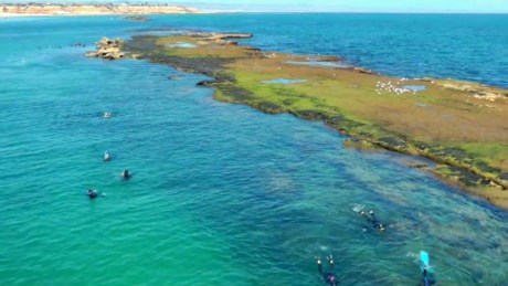 Port Noarlunga Reef